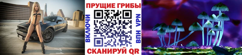 как найти   Безенчук  площадка телеграм  Псилоцибиновые грибы GOLDEN TEACHER 